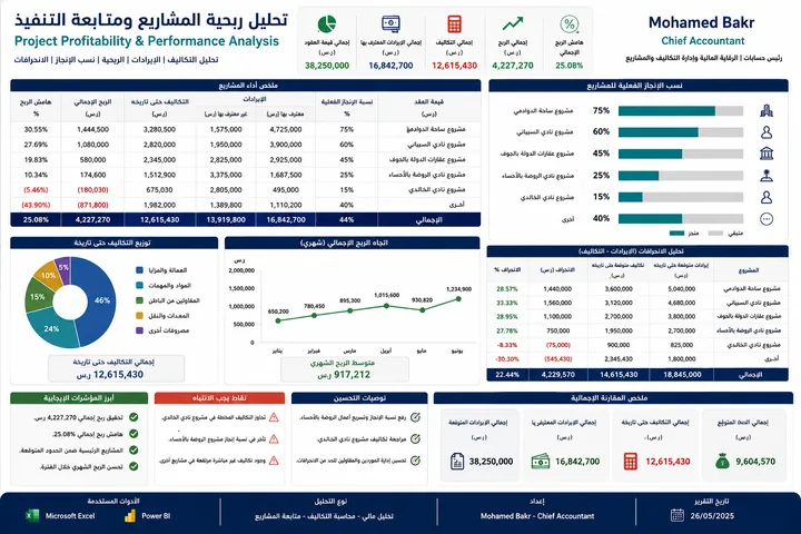 Project Profitability and Performance Analysis